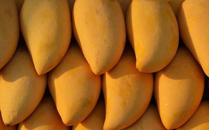 Why are Mangoes Better Than Bananas? African Mango